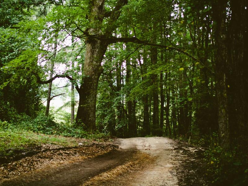 android screenshot 2